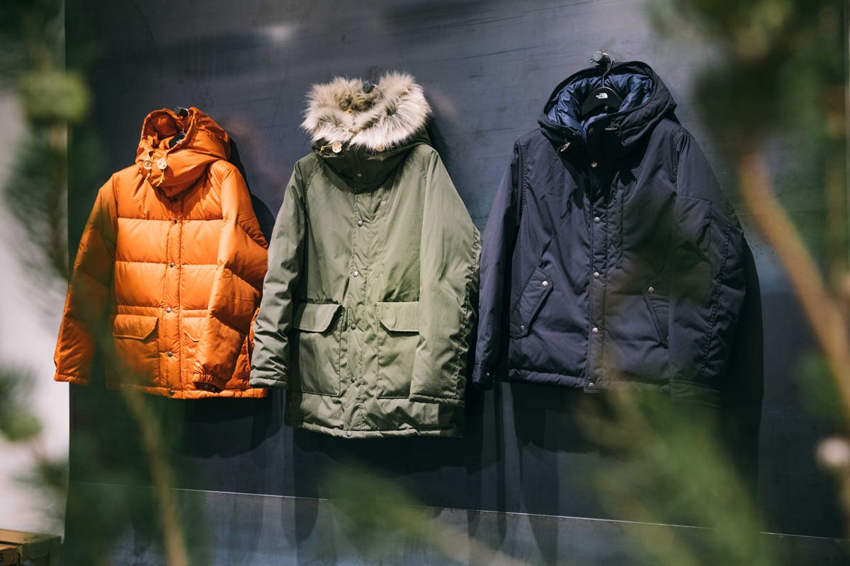 north face purple label sierra parka